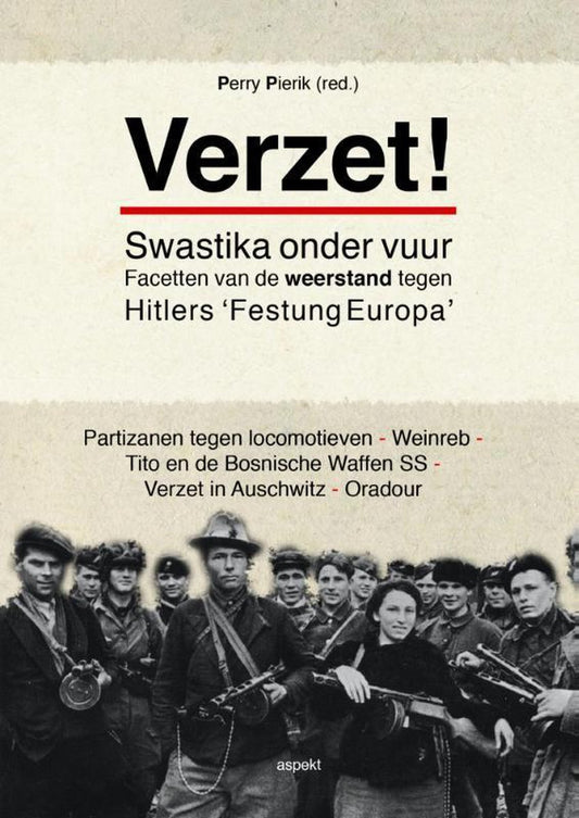 Verzet / swastika onder vuur