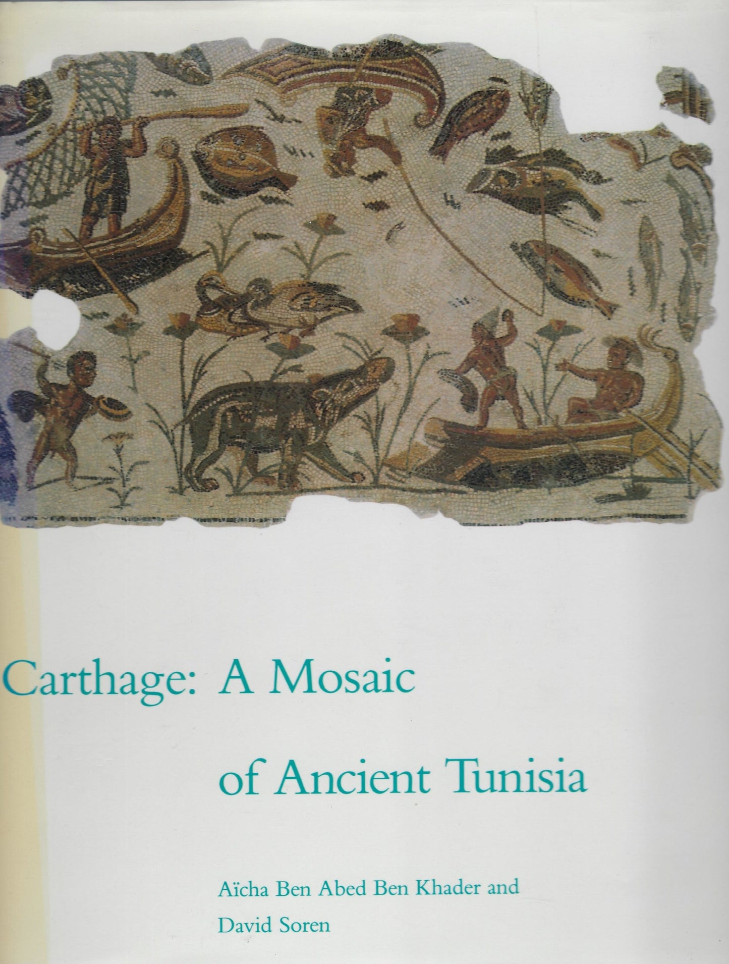 Carthage A mosaic Of Ancient Tunisia