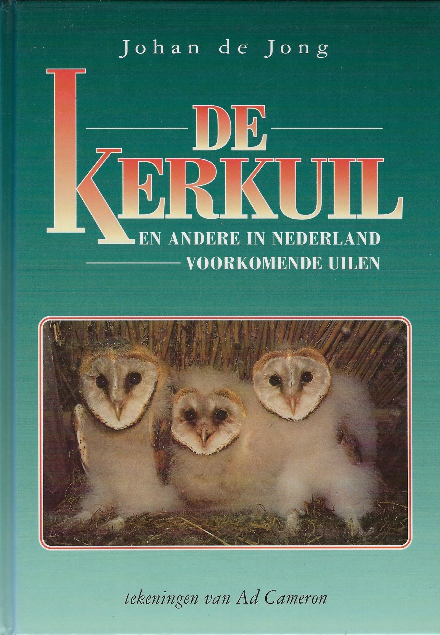 De kerkuil en andere in Nederland voorkomende uilen