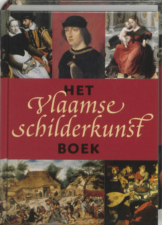 Het Vlaamse schilderkunst boek