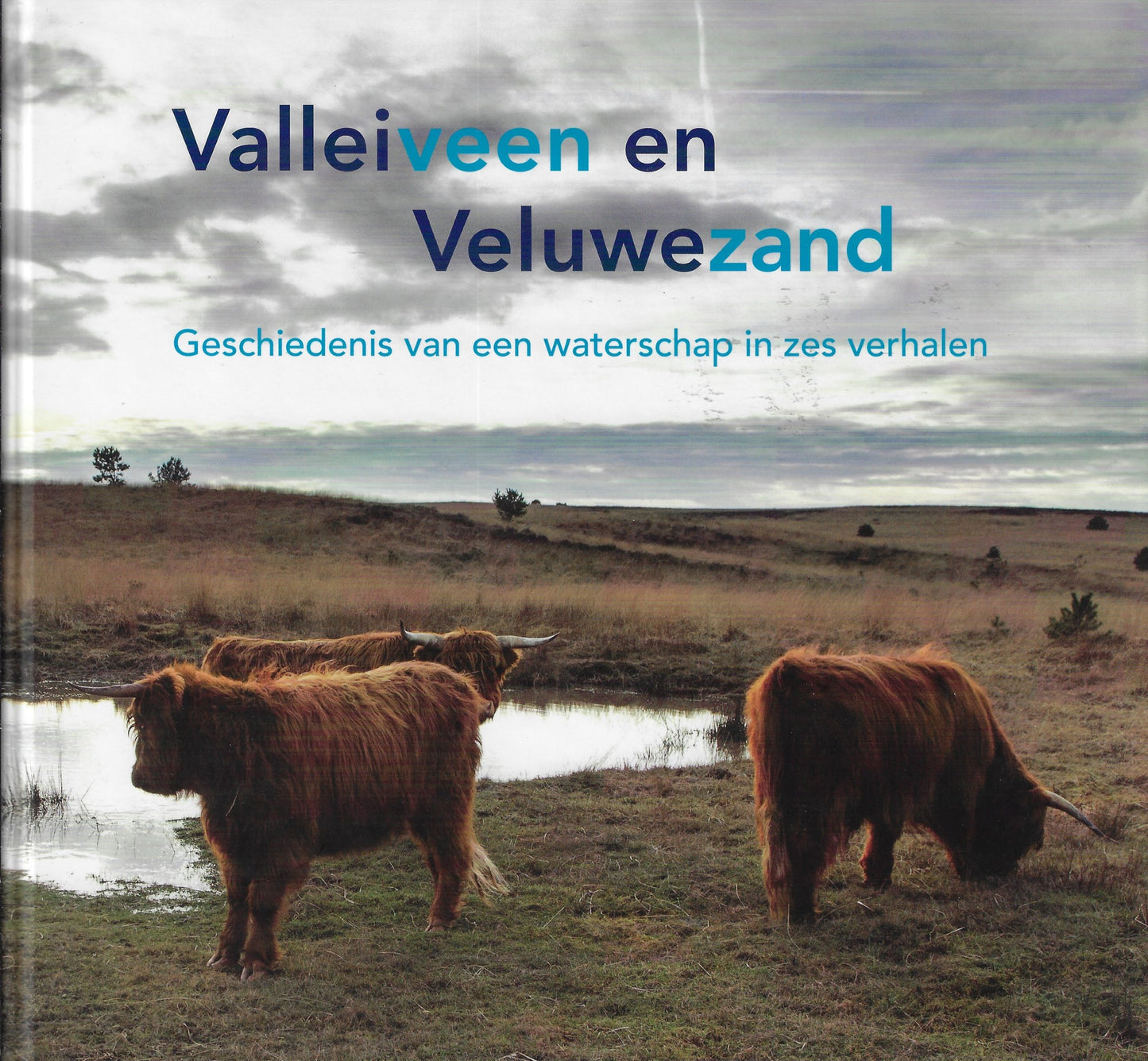 Valleiveen en Veluwezand