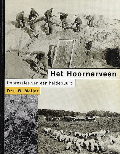 Het hoornerveen