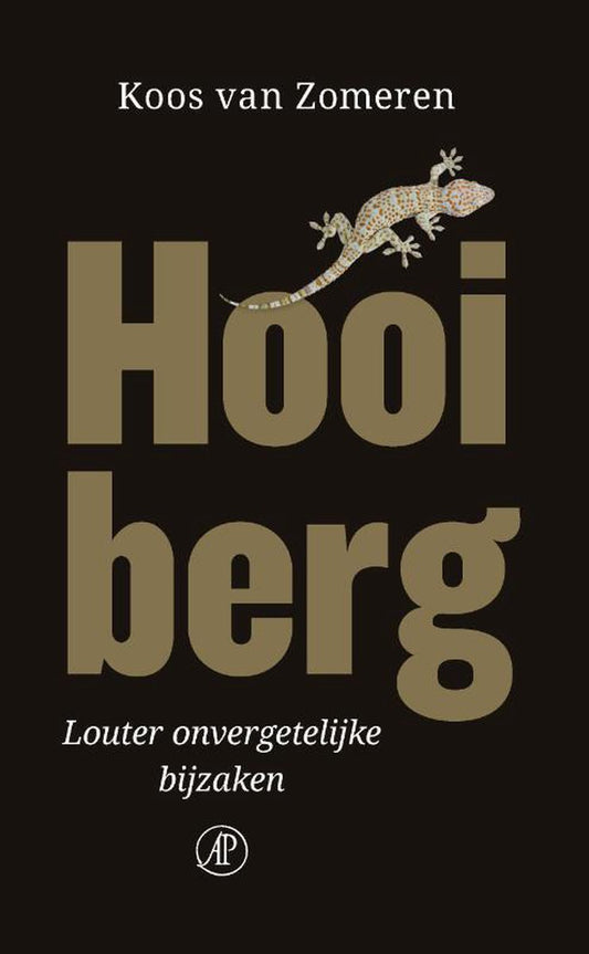 Hooiberg / Louter onvergetelijke bijzaken