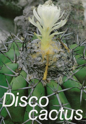 Disco cactus