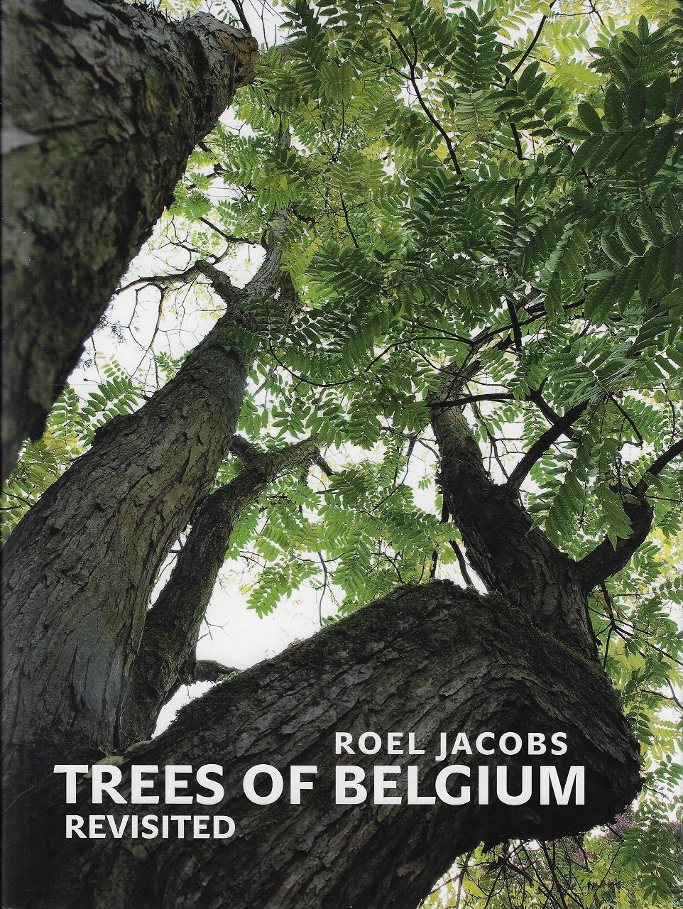 Trees of Belgium revisited
