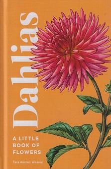 Dahlias