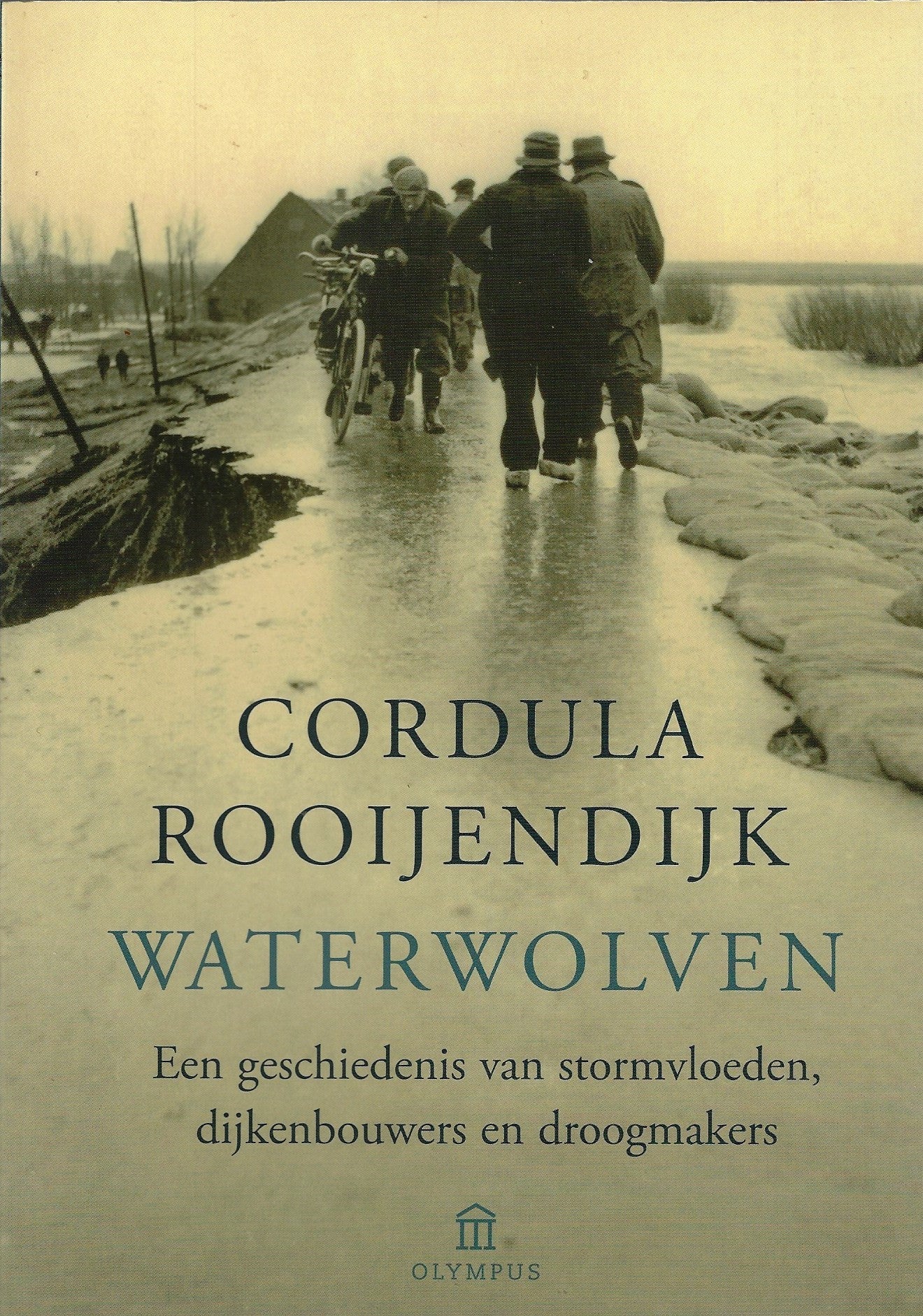 Waterwolven / een geschiedenis van stormvloeden, dijkenbouwers en droogmakers