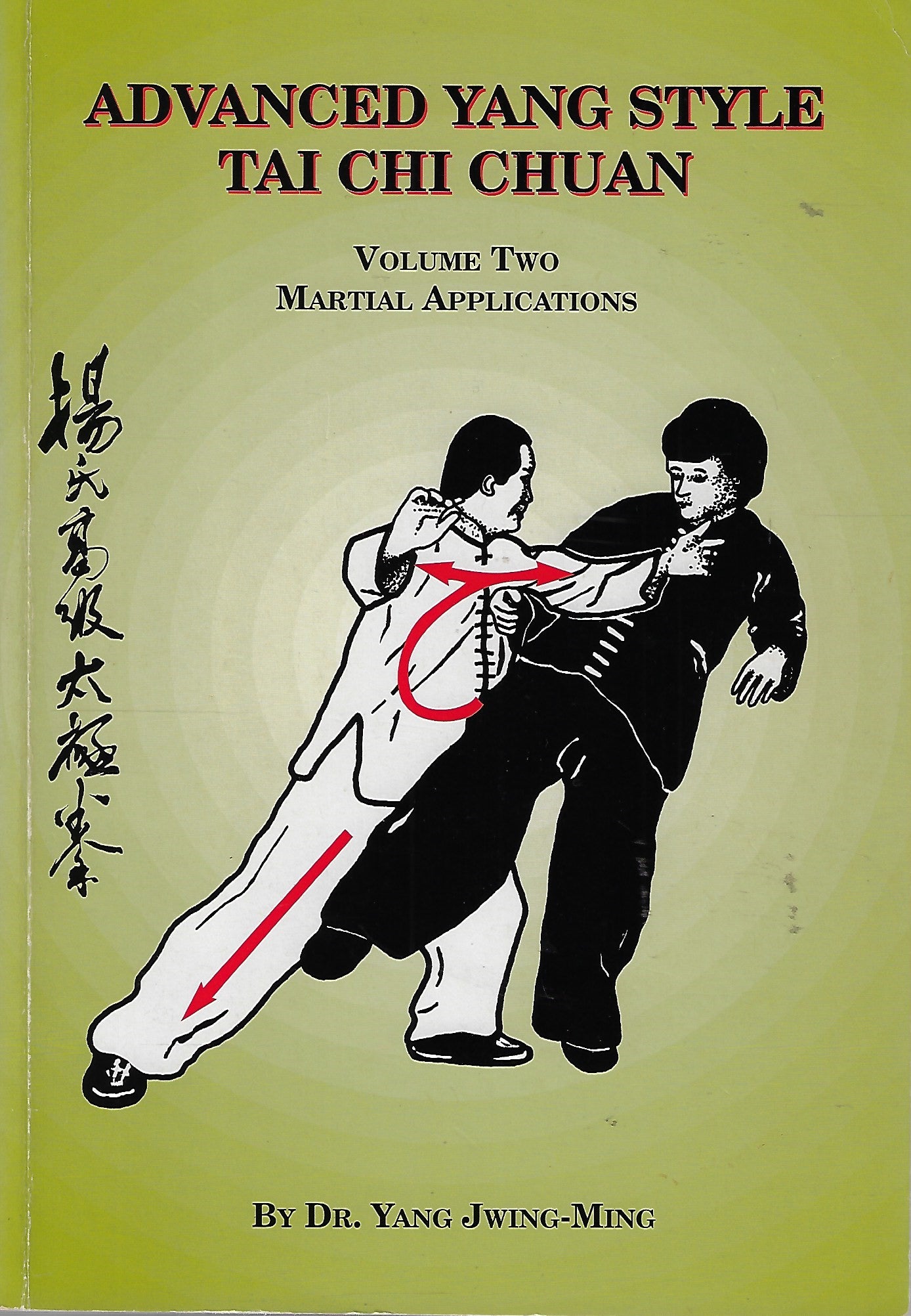 Advanced Yang Style Tai Chi Chuan II