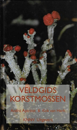 Korstmossen