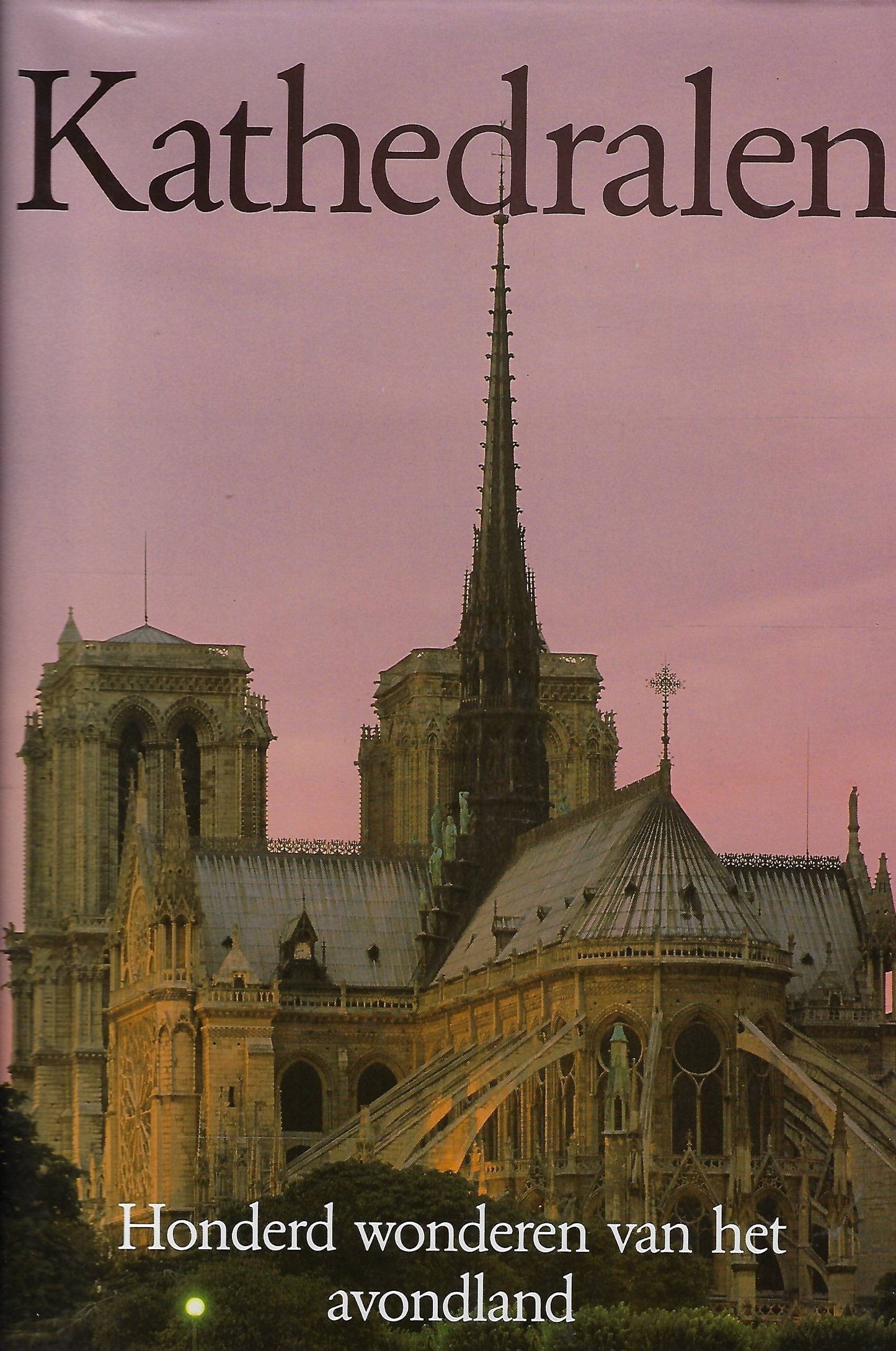 Kathedralen, honderd wonderen van het avondland