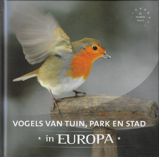 Roofvogels en uilen in Europa