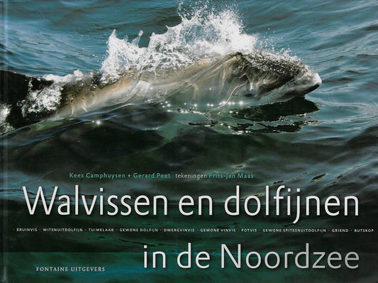 Walvissen en dolfijnen in de Noordzee / in de zuidelijke Noordzee