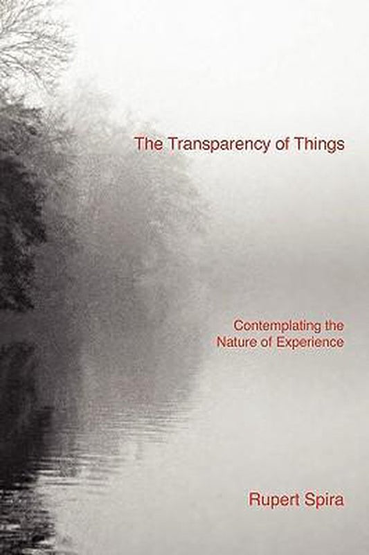 The transparency of things