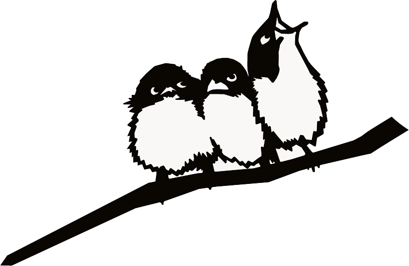 Originele metalbirds - three little birds