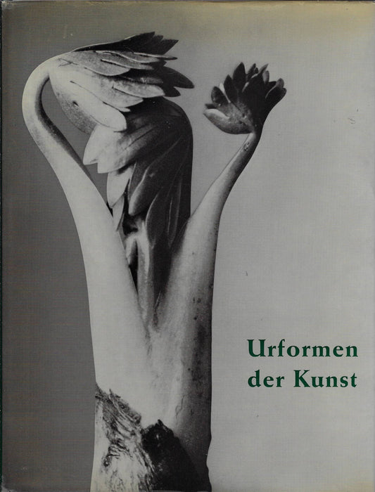 Urformen der Kunst : photographische Pflanzenbilder