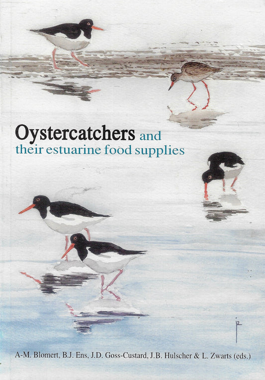The Oystercatchers and their estuarine food supplies
