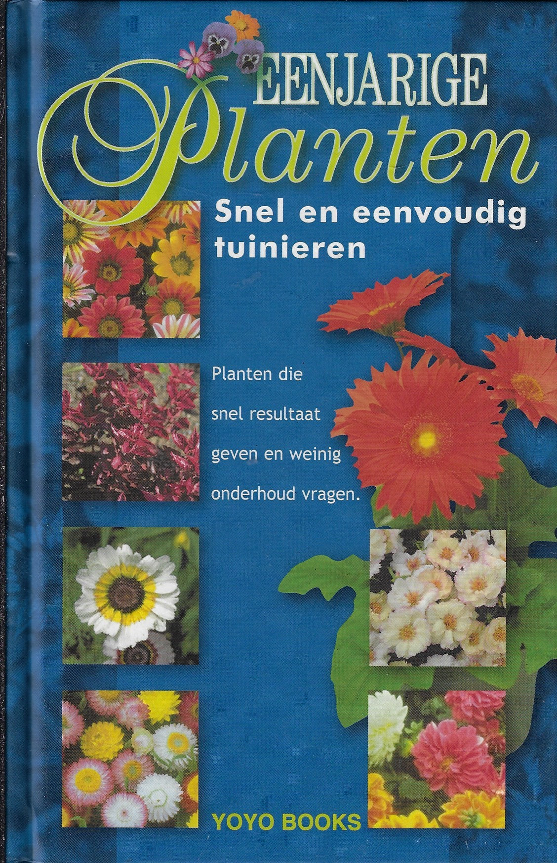 Eenjarige planten