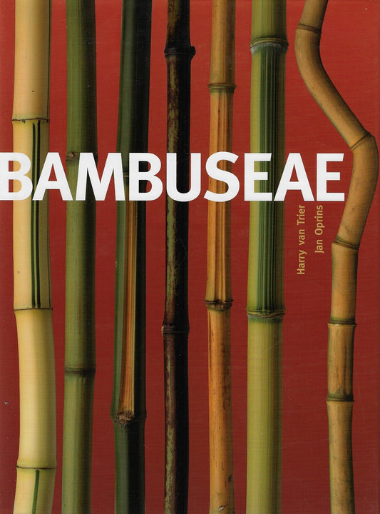 Bambuseae / de wereld van de bamboe